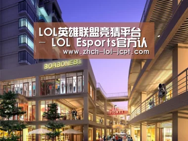 案例展示一(图1)